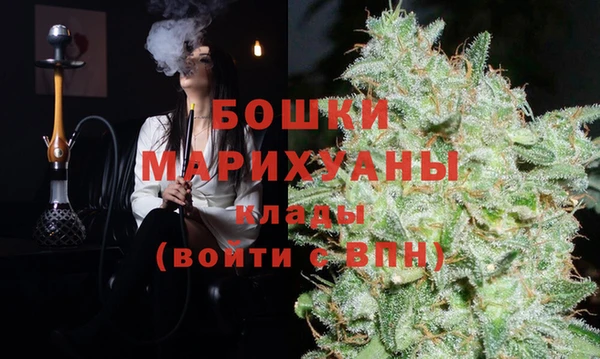 бошки Ельня