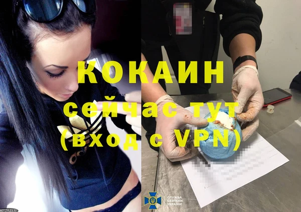 спиды Горняк