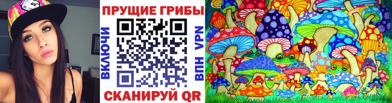 Купить где  Орлов  Псилоцибиновые грибы GOLDEN TEACHER 