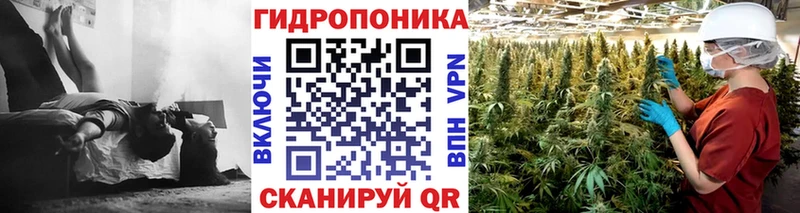 Конопля ГИДРОПОН Орлов